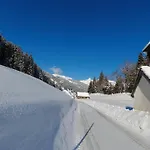 Engstler * Tschagguns