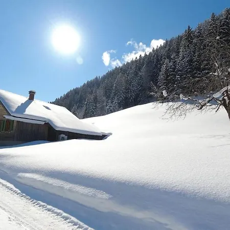 Dom wakacyjny Engstler