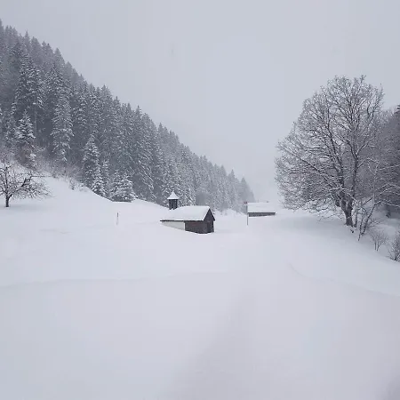 Engstler Tschagguns